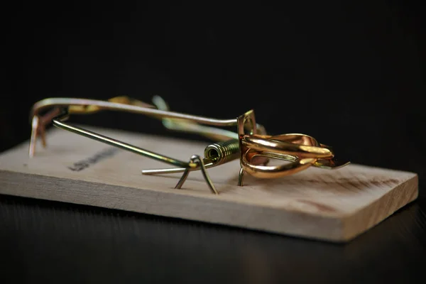 Alianças de casamento isca em uma ratoeira, casamento conceito de conveniência , — Fotografia de Stock