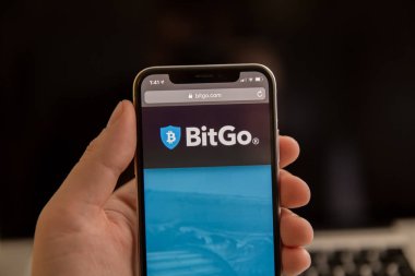 Tula, Rusya - 28 Ağustos 2018: smartphone ekranda Bitgo Web sitesi.