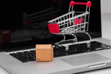 Kasa içi ve üzerinde bir dizüstü online alışveriş arabası bir şeklidir doğrudan bir satıcıdan malları satın, tüketicilerin elektronik ticaret