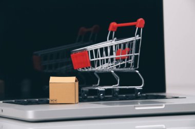 Kasa içi ve üzerinde bir dizüstü online alışveriş arabası bir şeklidir doğrudan bir satıcıdan malları satın, tüketicilerin elektronik ticaret