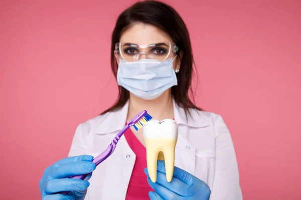 Donna dentista con guanti che mostra su un modello di mascella come pulire i denti con spazzolino da denti correttamente e — Foto Stock