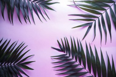Tropikal ve palmiye yaprakları canlı kalın degrade holografik neon renklerde