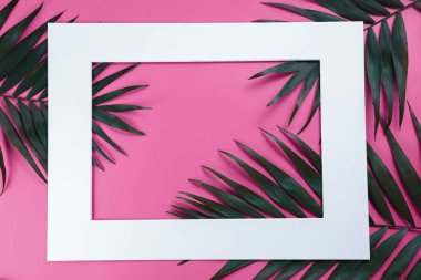 palmiye ağacı yeşil yaprakların üzerinde parlak