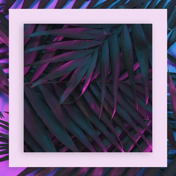 Tropische und Palmblätter in leuchtenden, kühnen Farbverläufen holographischer Neonfarben — Stockfoto
