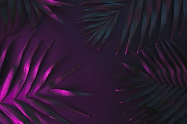Tropikal ve palmiye yaprakları canlı kalın degrade holografik neon renklerde