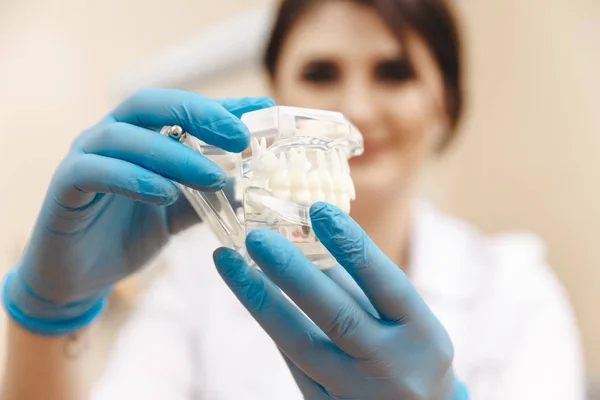 Jovem dentista feminina segurando modelo de mandíbula dentária isolado em — Fotografia de Stock