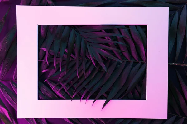 Tropical and palm leaves in vibrant bold gradient holographic neon colors — Stock Photo, Image