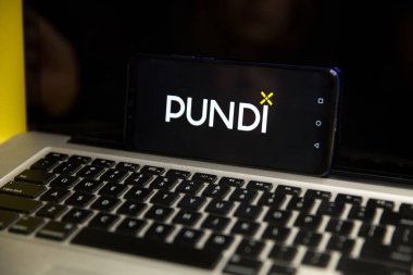 Tula, Rusya - 29 Ocak 2019: Huawei üzerinde görüntülenen cryptocurrency pundi Web sitesi