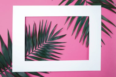 Tropikal ve palmiye yaprakları canlı kalın degrade holografik neon renklerde