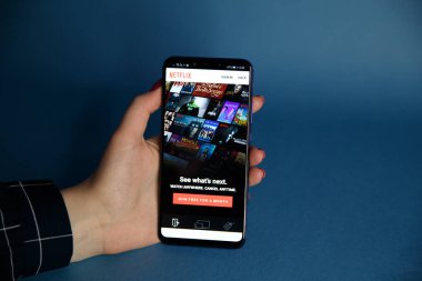Tula, Rusya - 29 Ocak 2019: Yakından Netflix app simgesi dizüstü bilgisayar ekranında. Netflix Tv olay izlemek için önde gelen uluslararası bir abonelik hizmeti olan bir