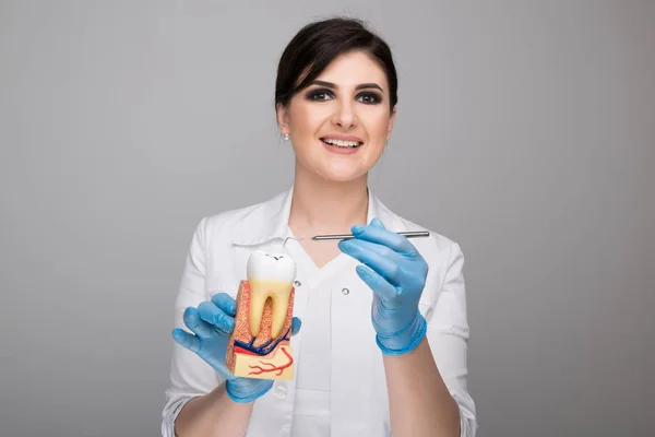Female doctor holding a big tooth to show it properly isolated over the grey background.