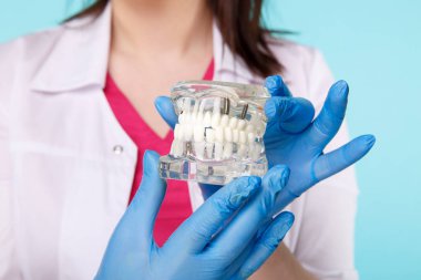 bir eldiven diş izole mavi arka plan üzerinde plaka tutarak ellerinde portre fotoğrafı.