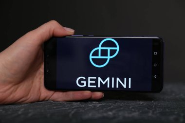 Tula, Rusya - 12 Mayıs 2019: İkizler telefon ekranında.
