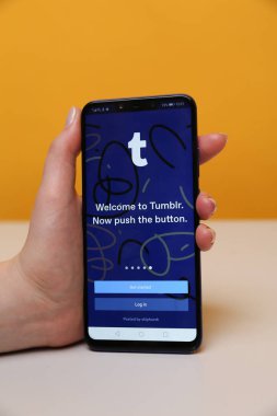 Tula, Rusya-Mayıs 12, 2019: Tumblr telefon ekranında.