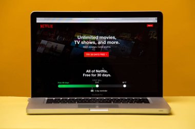 Tula, Rusya 17. 06 2019 Netflix dizüstü ekranda.