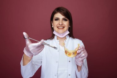 Sahte çene ve diş syrigne izole ile kadın diş hekimi Portresi.