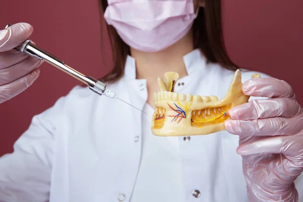 Retrato de dentista feminina com mandíbula falsa e sirigne dental isolado . — Fotografia de Stock