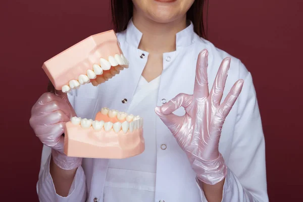 Closseup ver médicos mãos em luvas com mandíbula . — Fotografia de Stock