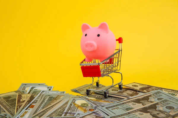 Compras inteligentes y ahorrar dinero concepto. Carrito de compras y alcancía sobre fondo amarillo — Foto de Stock