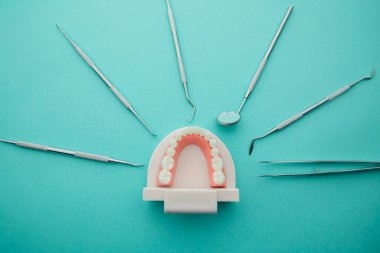 Mavi arka planda pembe diş etleri ve dişçi aleti olan dişçi model.