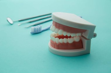 Mavi arka planda pembe diş etleri ve dişçi aleti olan dişçi model.