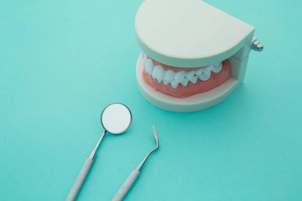 Dental health and teethcare concept. Dentist demonstration teeth model with flesh pink gums and dentist tool on blue background — Stock Photo, Image