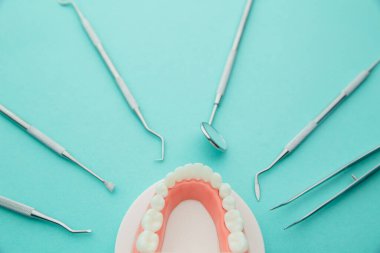 Mavi arka planda pembe diş etleri ve dişçi aleti olan dişçi model.