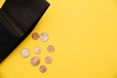 Sarı arka planda açık gri deri cüzdandan dolar paraları dökülüyor.