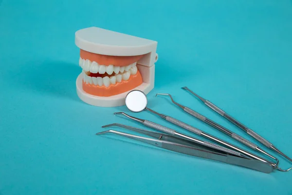 Fake jaw with medical instruments isolated on the blue background. — Stock Photo, Image