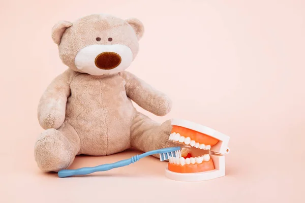 Stuffed Bear animal with toothbrush with copy space. Children dentist theme — Stock Photo, Image