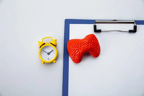 Tratamento e prevenção da glândula tireóide. Modelo de órgão anatômico na tabela de médicos — Fotografia de Stock