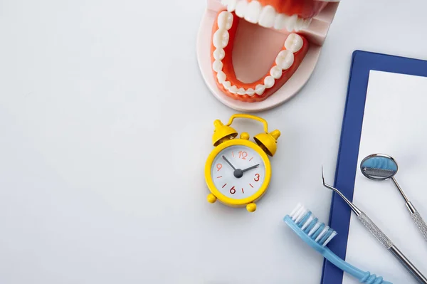 Gesundes Zahnmodell mit Zahnwerkzeug und Wecker in Zahnarztpraxis. Zeit für professionelle Zahnhygiene — Stockfoto