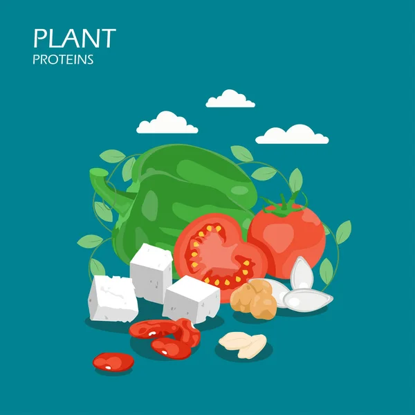 Proteínas vegetales vector plano estilo diseño ilustración — Vector de stock