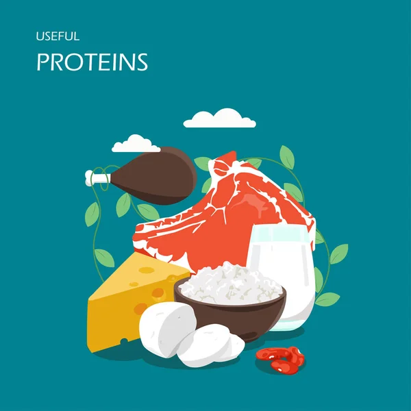 Yararlı proteinler vektör düz stil tasarım illüstrasyon — Stok Vektör
