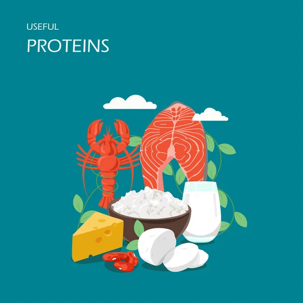 Yararlı proteinler vektör düz stil tasarım illüstrasyon — Stok Vektör