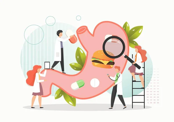 Doctors examining and treating human stomach with burger and pills inside, flat vector illustration. — Stock Vector