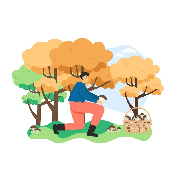 Homem pegando cogumelo comestível na floresta de outono. Cesta cheia de cogumelos. Outono ao ar livre estação hobby conceito vetor ilustração —  Vetores de Stock