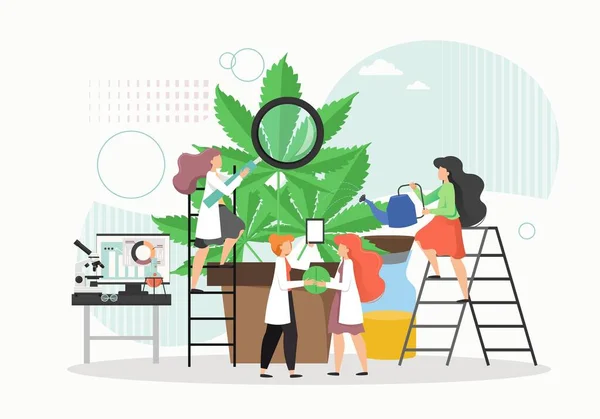 Výroba CBD produktů