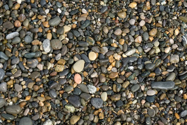 Sahilde küçük, ıslak çakıl taşları. Geçmişi. doku