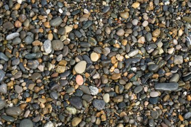 Sahilde küçük, ıslak çakıl taşları. Geçmişi. doku