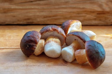 Beş yabani beyaz mantar, güneş ışığının altında, ahşap bir arka planda yatıyor.