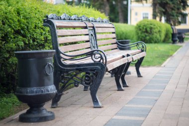 Yeşil çalıların yanındaki parktaki ahşap bankta ve çöpler için sabahleyin
