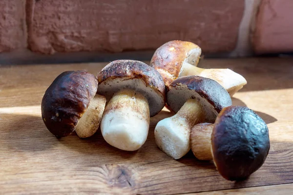 Beş yabani beyaz mantar, güneş ışığının altında, ahşap bir arka planda yatıyor.