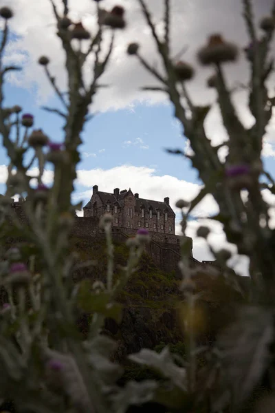 エディンバラ城 前景にアザミを持つスコットランド ロイヤリティフリーのストック写真