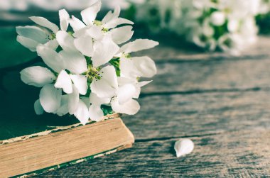 Eski kitap baharda çiçeklenme elma ağacının dalını. Rustik ahşap arka plan.