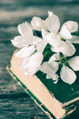 Eski kitap baharda çiçeklenme elma ağacının dalını. Rustik ahşap arka plan.