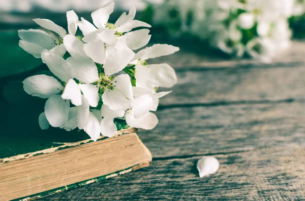 Eski kitap baharda çiçeklenme elma ağacının dalını. Rustik ahşap arka plan.