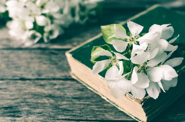 Eski kitap baharda çiçeklenme elma ağacının dalını. Rustik ahşap arka plan.