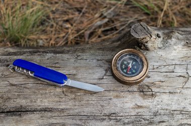 Pusula ve bıçak oturum çam ormanı içinde hayatta kalmak için.