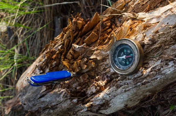 Compass and survival knife on an old rotten stump.A tool for Hiking and survival lit by the sun.